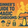 Beginner’s Guide to Magic Mushrooms_ Products, Effects, and How to Start