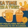 Best Psilocybin Drinks in Canada_ Top Mushroom Beverages to Try