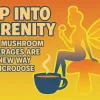 Why Mushroom Beverages Are the New Way to Microdose