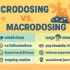 macrodosing vs microdosing guide