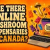 Gummies, capsules and raw mushrooms coming out of a laptop - referencing buying shrooms online in canada