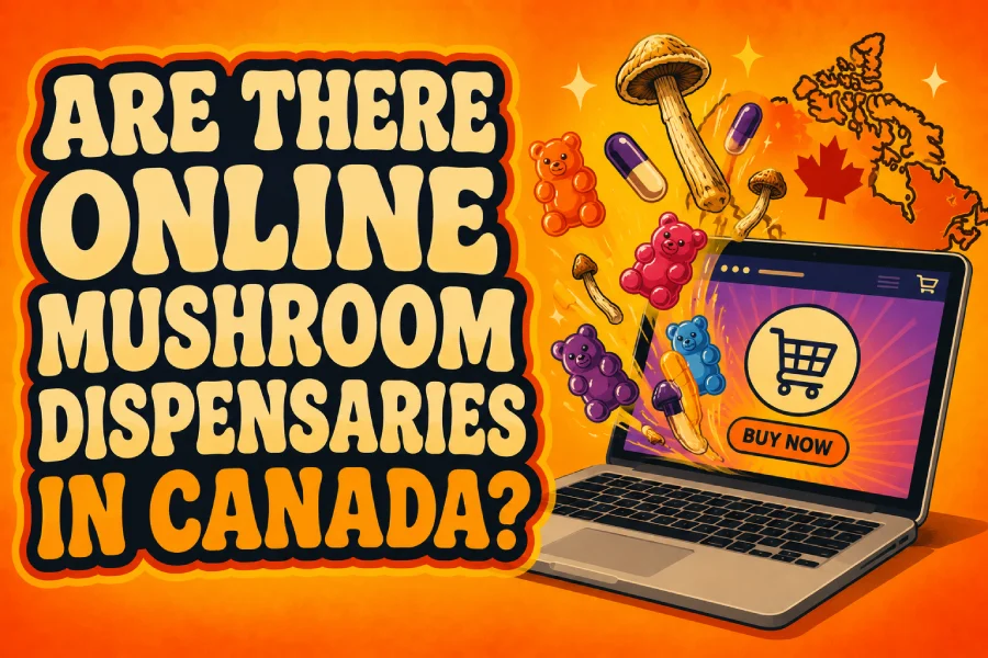 Gummies, capsules and raw mushrooms coming out of a laptop - referencing buying shrooms online in canada