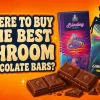 Stylized broken chocolate bar pieces Small mushroom illustrations worked into chocolate squares Fairy silhouette subtly leaning on chocolate bar
