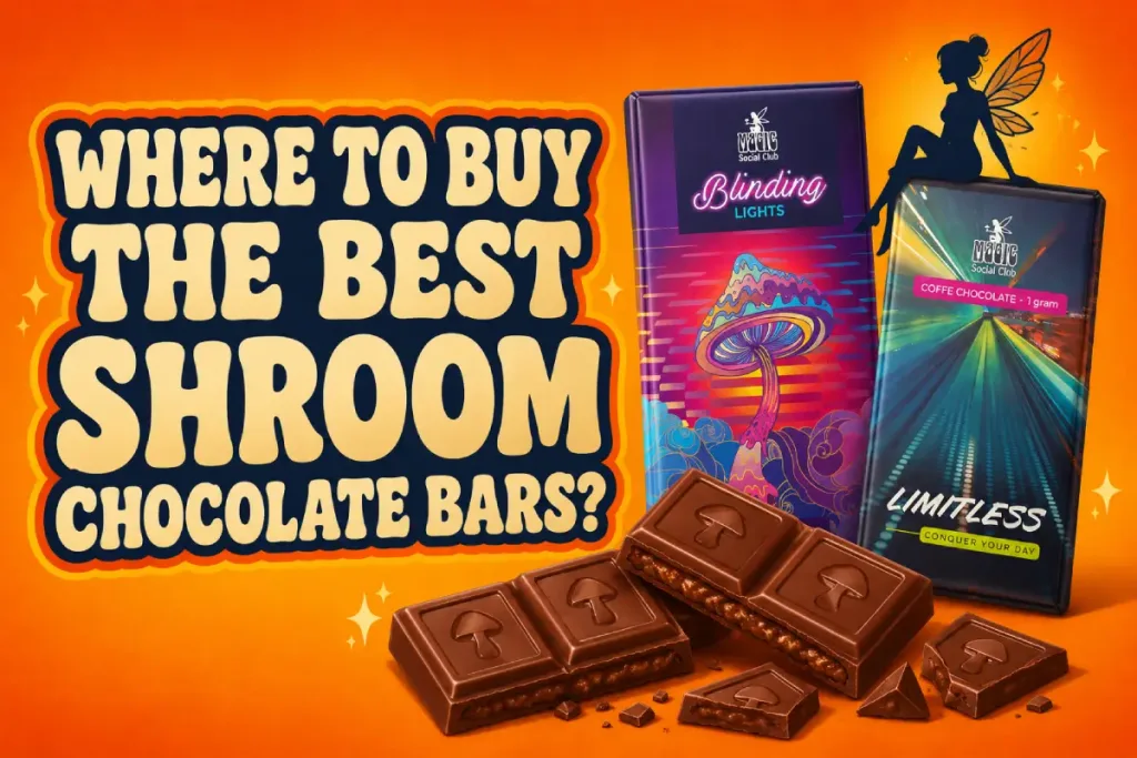 Stylized broken chocolate bar pieces Small mushroom illustrations worked into chocolate squares Fairy silhouette subtly leaning on chocolate bar