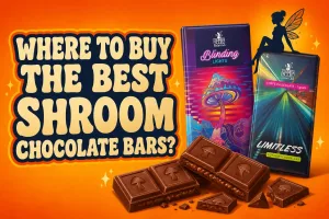 Stylized broken chocolate bar pieces Small mushroom illustrations worked into chocolate squares Fairy silhouette subtly leaning on chocolate bar