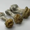 3 mushrooms from the avalance strain
