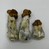 3 shrooms - all blue meanies