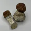 one small magic shroom and a bigger one, both bull run