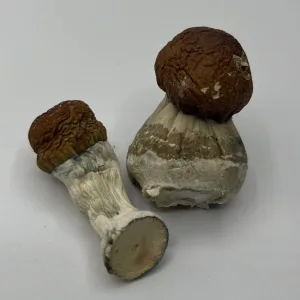 one small magic shroom and a bigger one, both bull run
